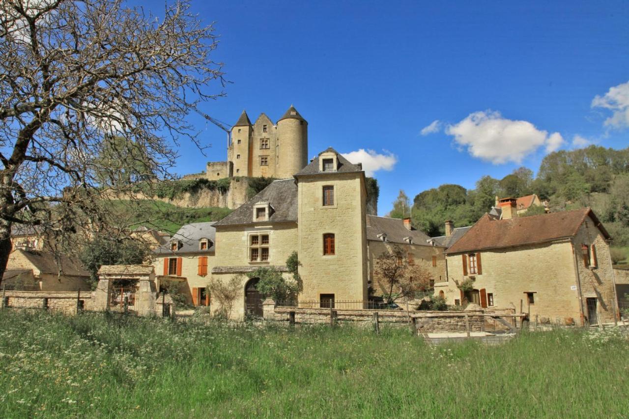 Petite Maison En Pierre Au Coeur Du Perigord Noir Salignac Eyvigues Екстер'єр фото