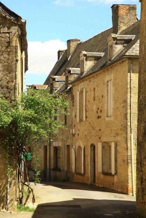 Petite Maison En Pierre Au Coeur Du Perigord Noir Salignac Eyvigues Екстер'єр фото